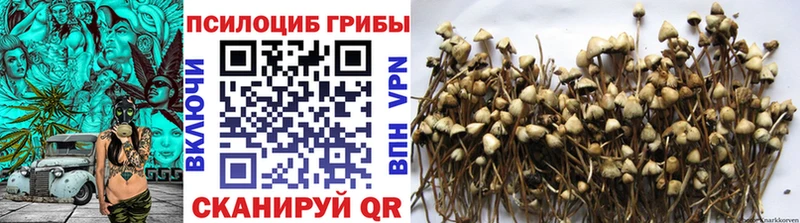 Псилоцибиновые грибы GOLDEN TEACHER Избербаш