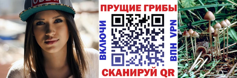 Галлюциногенные грибы мухоморы  хочу наркоту  Избербаш 